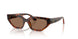 W65673 - Brown - Dark Brown