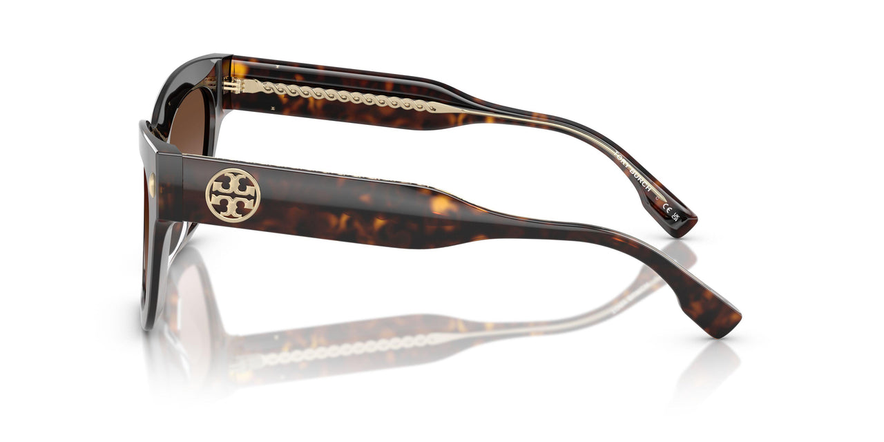 172813 - Tortoise - Brown Gradient