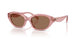 202173 - Pink - Dark Brown