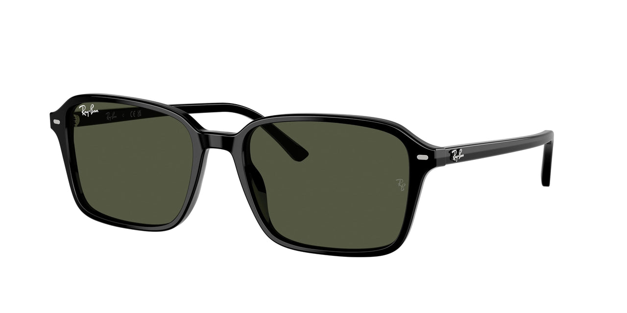 Ray-Ban Raimond 2231 Sunglasses