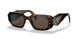 2AU8C1 - Havana - Brown
