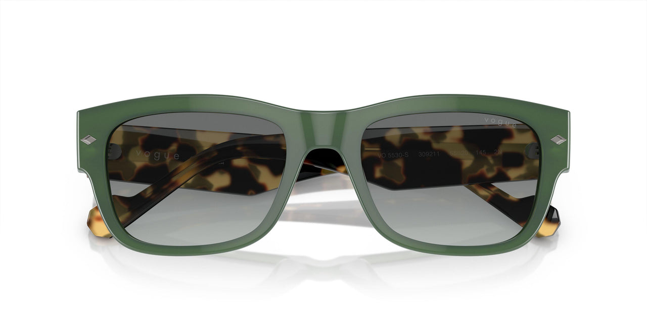 309211 - Green - Grey Gradient
