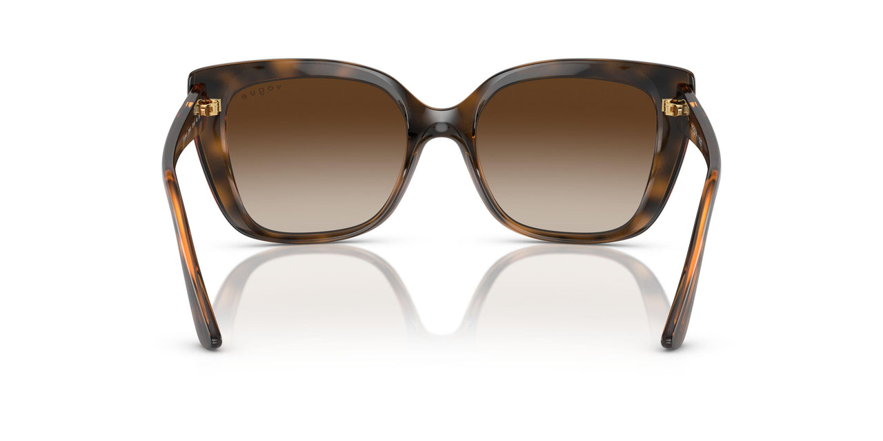 238613 - Havana - Brown Gradient