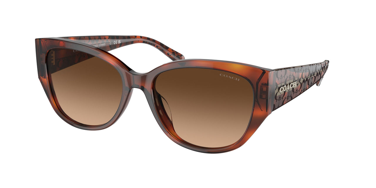 574174 - Tortoise - Brown Gradient