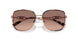 110813 - Gold - Brown Pink Gradient