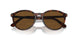 24/57 - Tortoise - Polar Brown