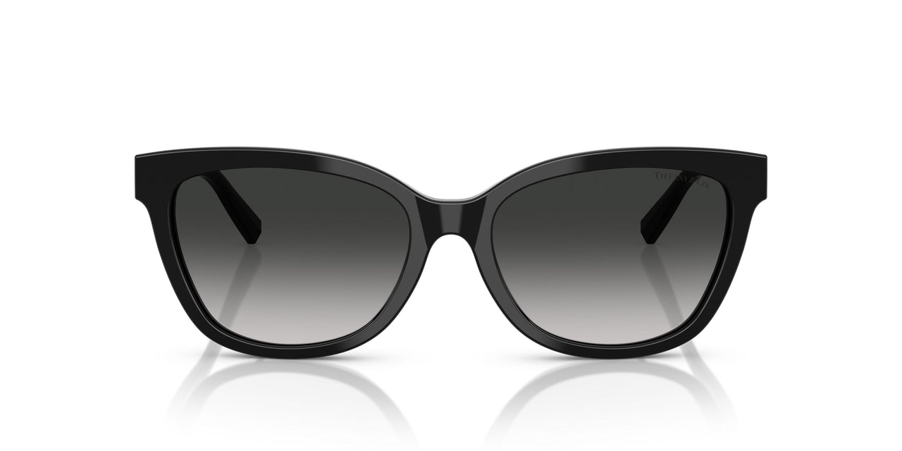 80013C - Black - Grey Gradient