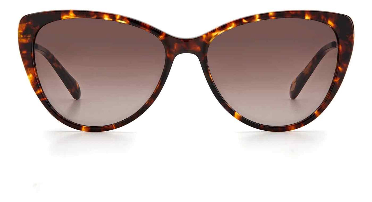 0086-HA - Havana - Brown Gradient