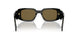 19D01T - Black - Dark Brown