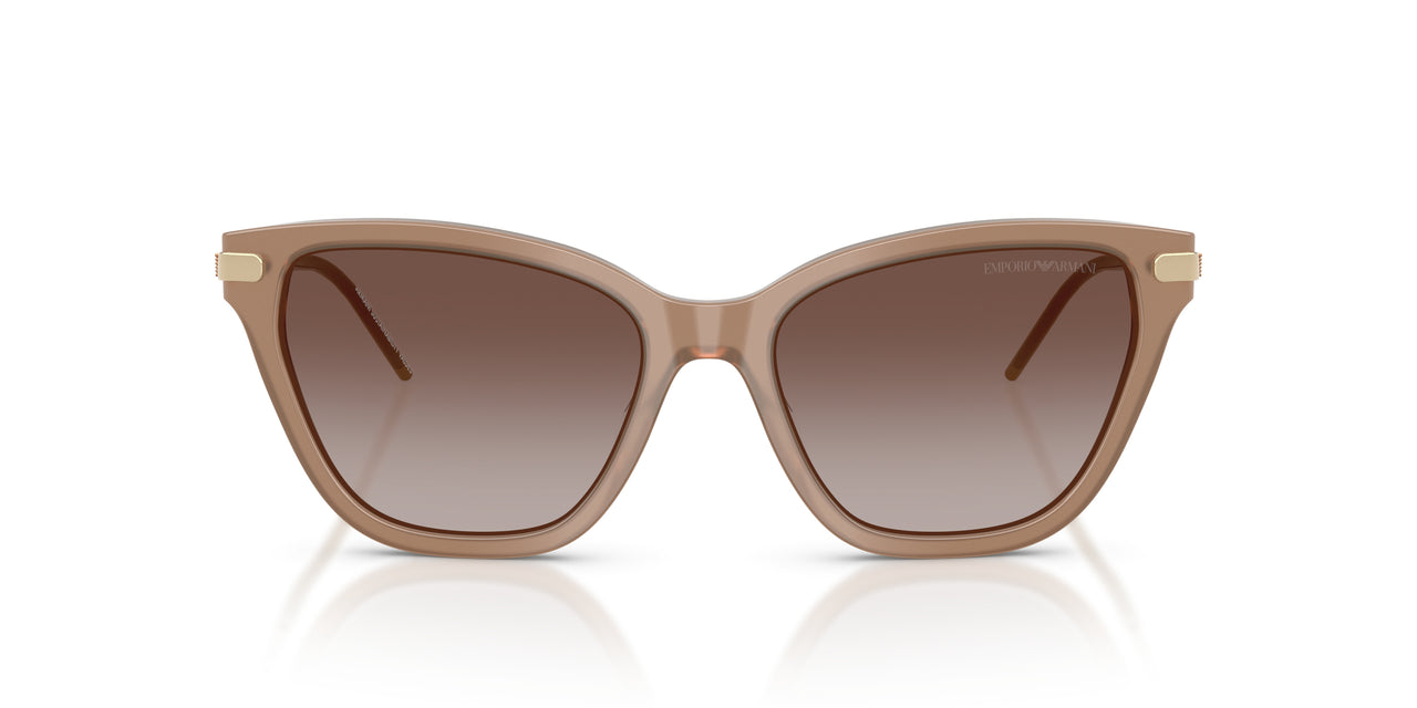 626313 - Brown - Gradient Brown