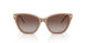 626313 - Brown - Gradient Brown