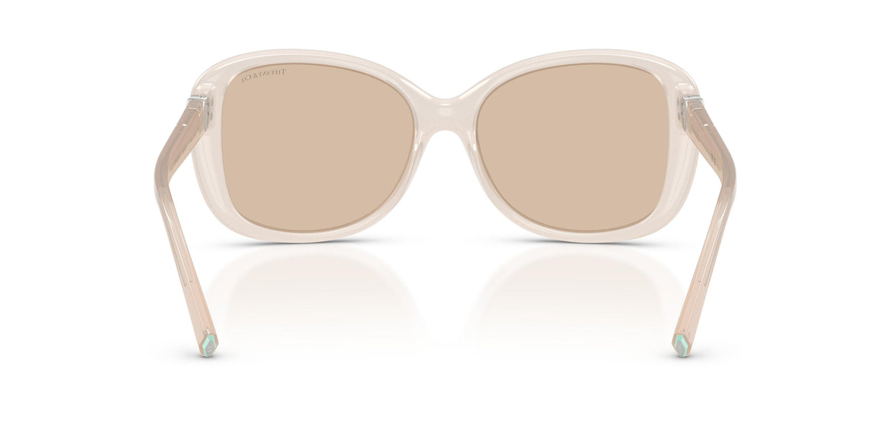845893 - Brown - Light Brown