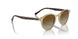 W900T5 - Brown - Polar Brown Gradient