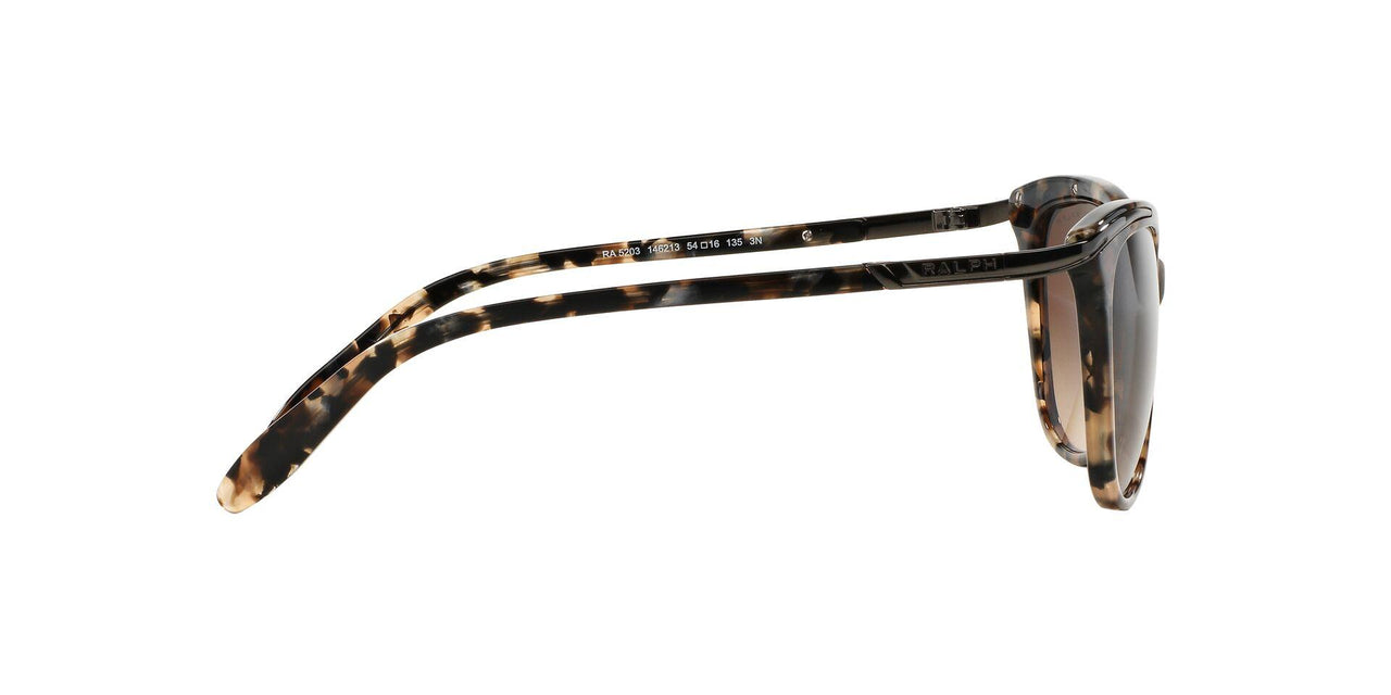 146213 - Brown - Dark Brown Gradient