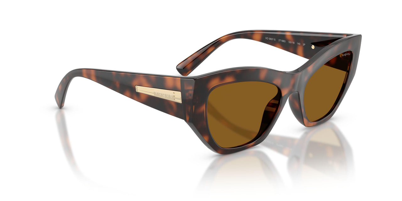 271883 - Brown - Dark Brown Polar