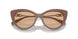 51461W - Brown - Clear
