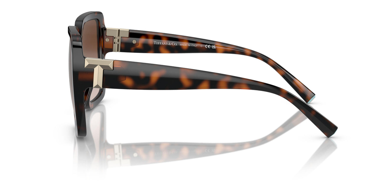 80153B - Tortoise - Brown Gradient