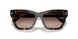 172813 - Tortoise - Brown Gradient