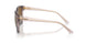 3136T5 - Brown - Grey Gradient Brown Polarized