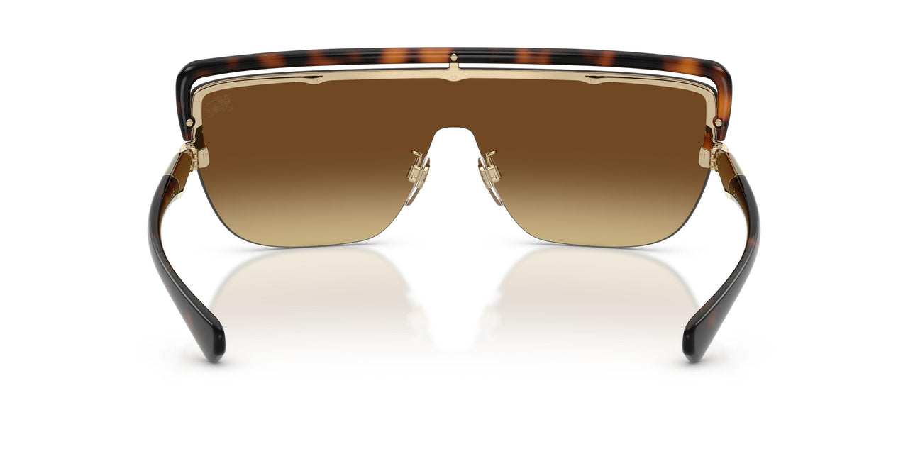 110913 - Brown - Marrone Sfumato
