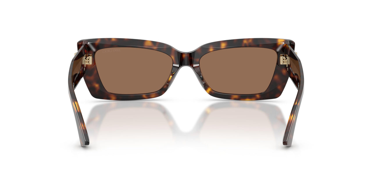 500273 - Tortoise - Dark Brown