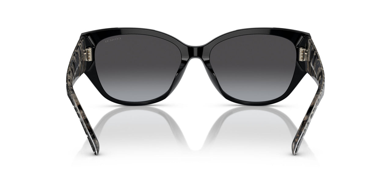 50028G - Black - Grey Gradient
