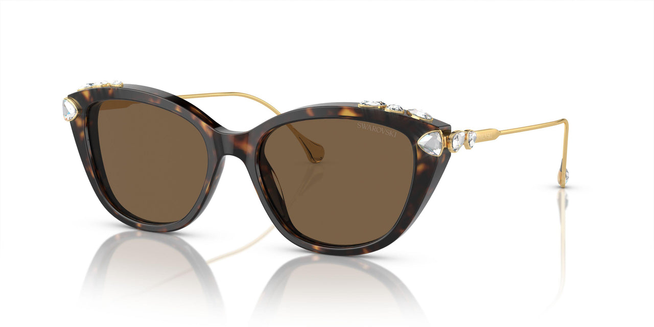 100273 - Tortoise - Dark Brown