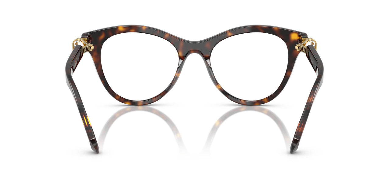1002 - Brown