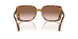 512013 - Tortoise - Brown Pink Gradient