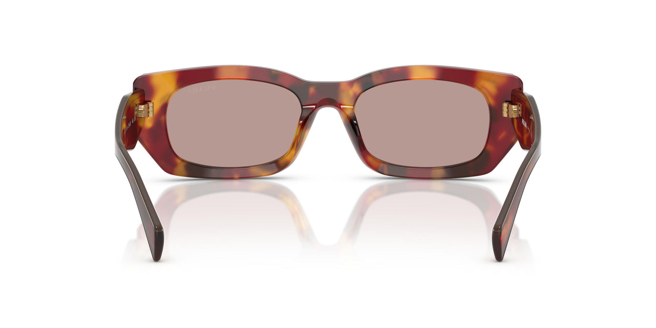 22A20I - Tortoise - Light Purple Brown