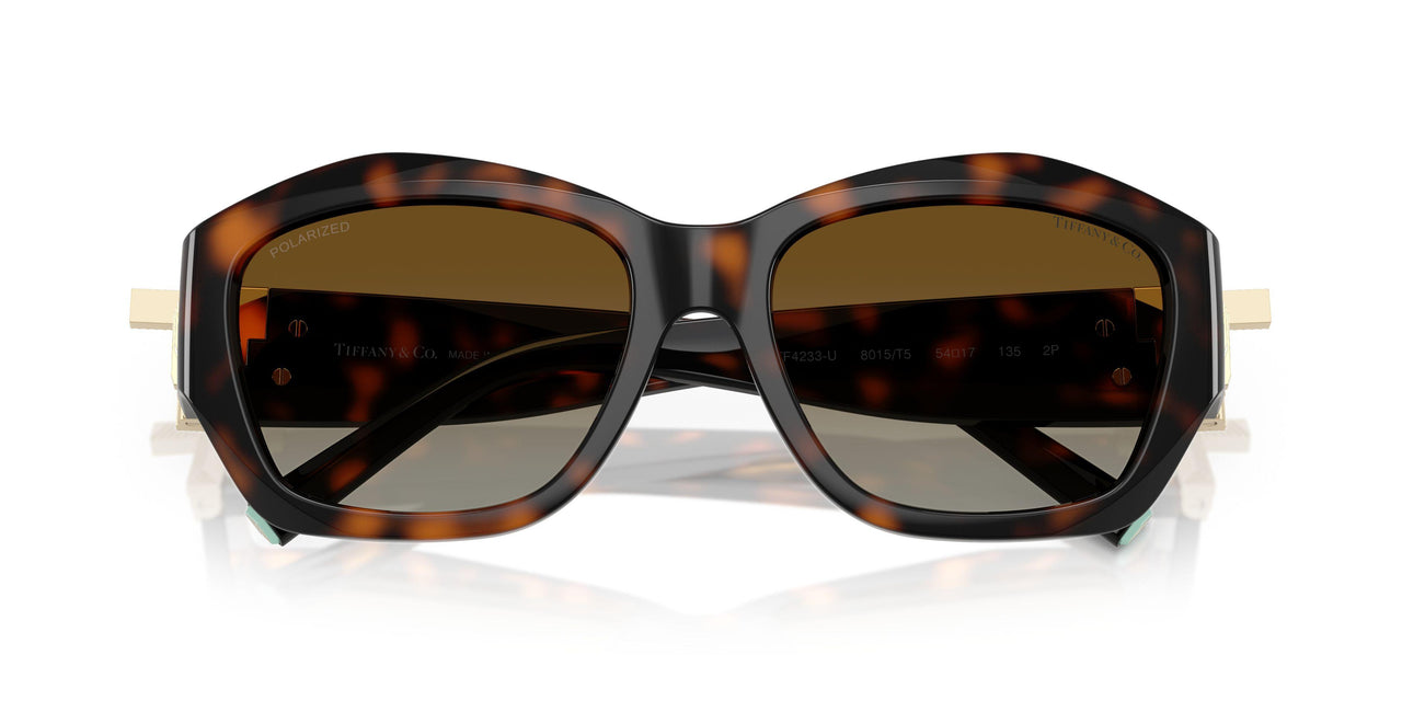 8015T5 - Tortoise - Polar Brown Gradient