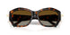 8015T5 - Tortoise - Polar Brown Gradient