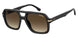 0807-HA - BLACK - Brown Gradient