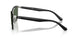 003/9A - Silver - Polarized Green
