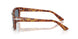106/56 - Tortoise - Light Blue
