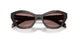 17N60B - Tortoise - Light Brown
