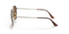 920757 - Gold - Polar Brown