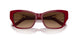 591274 - Bordeaux - Brown Gradient