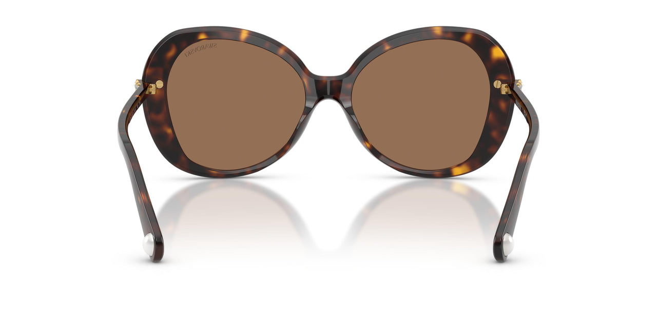 100273 - Tortoise - Dark Brown