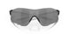931323 - Black - Prizm Black Polarized