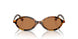 19P2Z1 - Honey Yellow Tortoise - Brown
