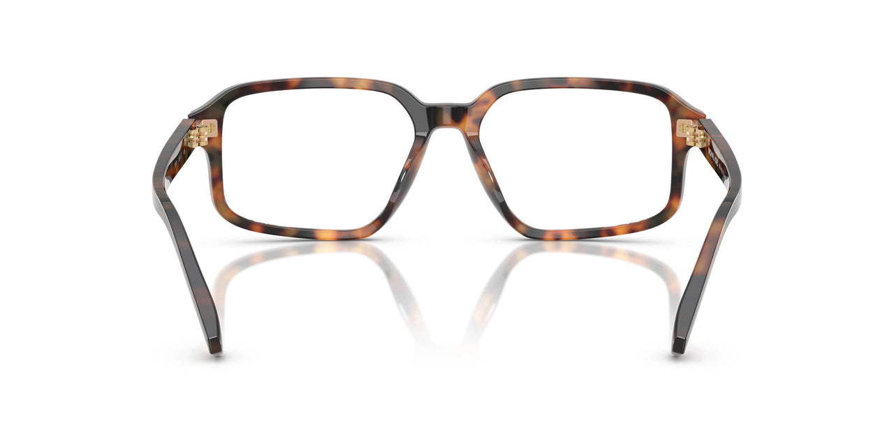 3904 - Tortoise
