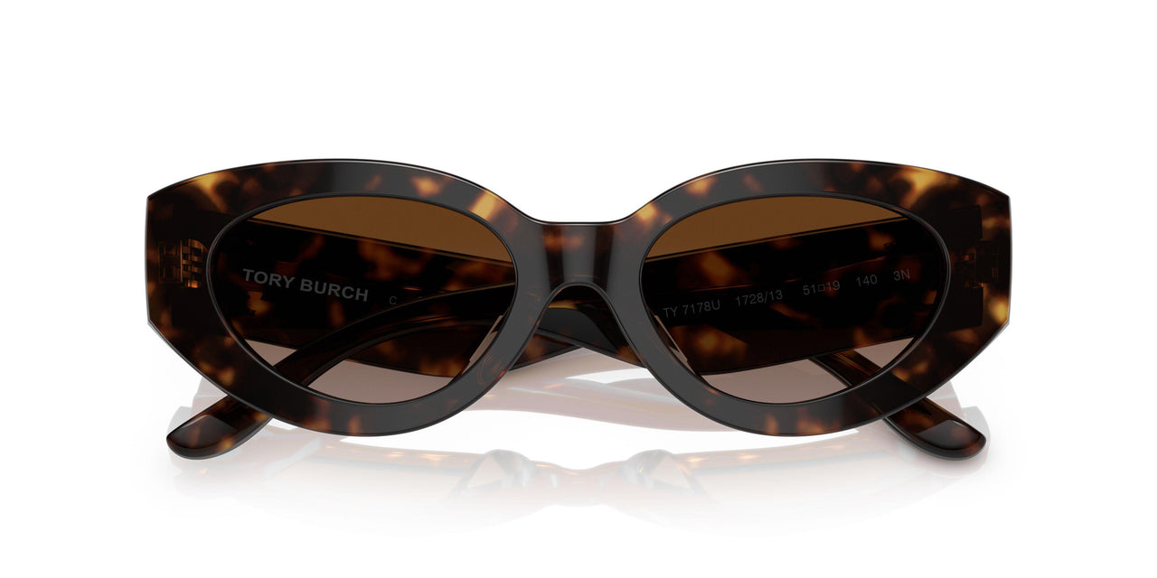 172813 - Havana - Brown Gradient