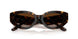 172813 - Havana - Brown Gradient
