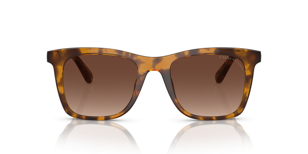 5120T5 - Tortoise - Brown Gradient Polar