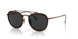 801648 - Brown - Polar Black + Ar