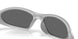 953610 - Silver - Prizm Black Polarized