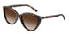Tiffany 4251 Sunglasses