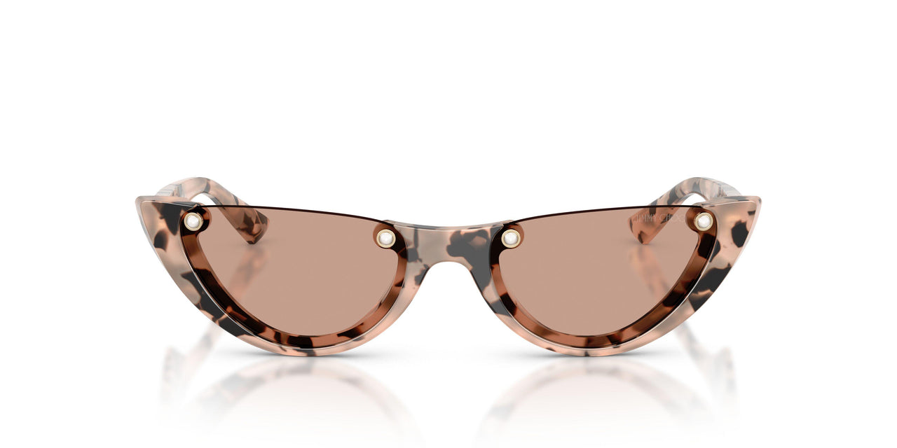 508073 - Tortoise - Brown
