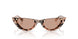 508073 - Tortoise - Brown